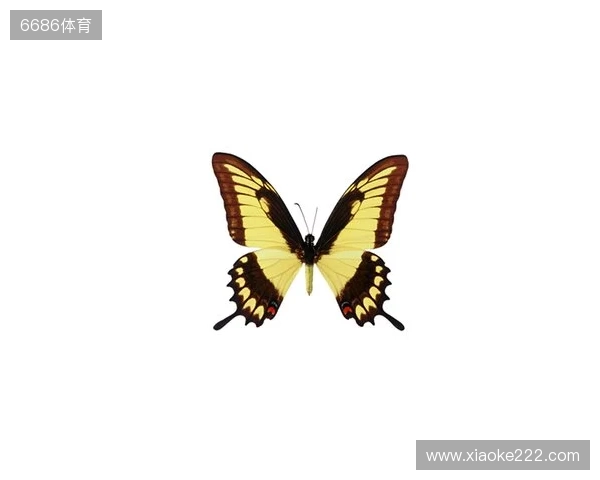 破茧成蝶:Legacy如何登顶南美、跻身世界顶尖行列